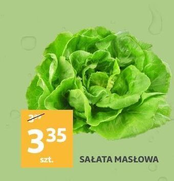 Auchan Sałata masłowa oferta