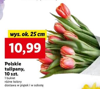 Lidl Tulipany bukiet oferta