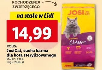 Lidl Karma dla kota classic josera oferta