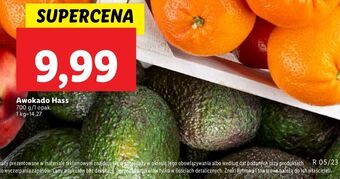 Lidl Awokado hass oferta