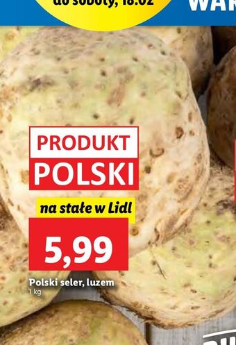 Lidl Seler oferta