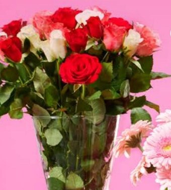 Lidl Bukiet róż oferta