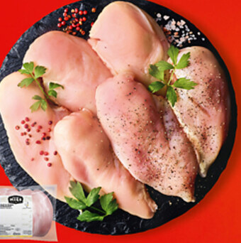 Biedronka Filet z kurczaka kraina mięs oferta