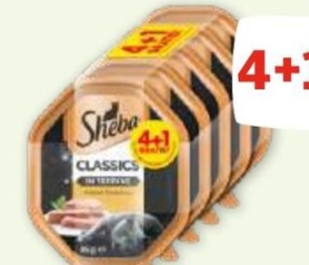 Maxi Zoo Karma dla kota sheba oferta