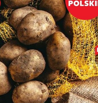 Kaufland Ziemniaki oferta