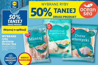Lidl Ocean Sea Wybrane ryby mrożone oferta