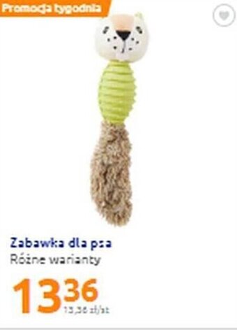 Action Zabawka dla psa oferta
