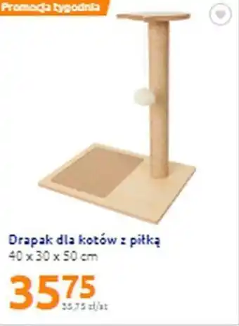 Action Drapak dla kotów z piłką 40x30x50cm oferta