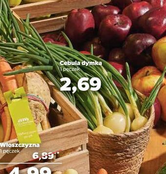 Netto Cebula dymka oferta