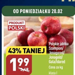 ALDI Jabłka szampion oferta