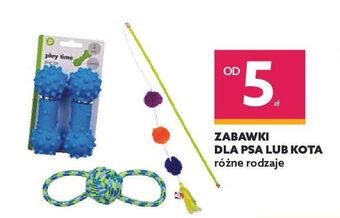 Dealz Zabawka dla psa oferta