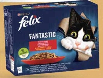 Netto Karma dla kota purina oferta