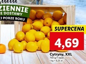 Lidl Cytryna oferta