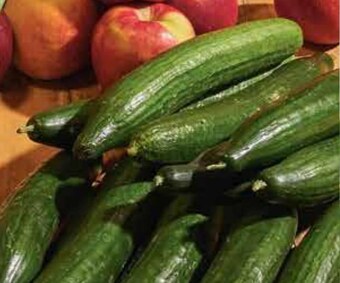 Netto Ogórek oferta