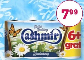 Społem Papier toaletowy cashmir oferta