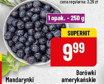 Polomarket Borówki amerykańskie oferta