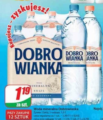 Dino Woda mineralna Dobrowianka 1,5l oferta