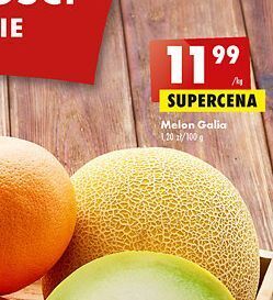 Biedronka Melon galia oferta
