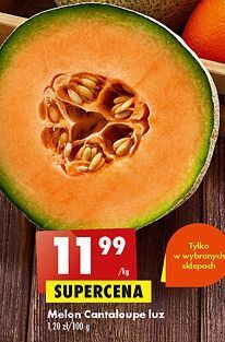 Biedronka Melon cantaloupe oferta