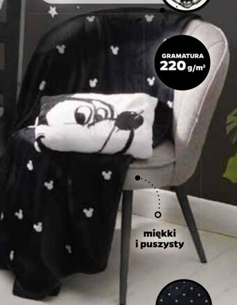 Netto Koc oferta
