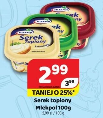 Delfin Mlekpol Serek topiony 100g oferta