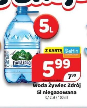 Delfin Żywiec Zdrój Woda 5l oferta