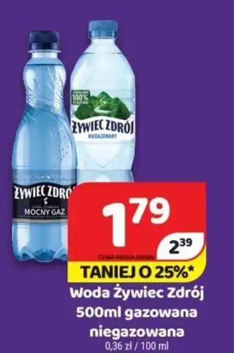 Delfin Żywiec Zdrój woda 500ml oferta