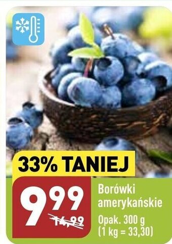 ALDI Borówki amerykańskie 300g oferta