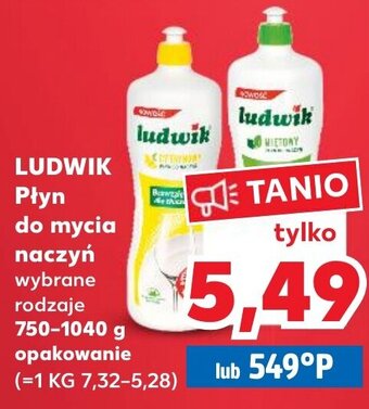 Kaufland Ludwik płyn do mycia naczyń 750-1040g oferta