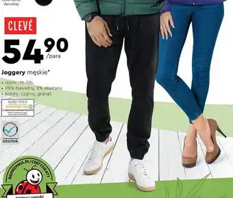 Biedronka Joggery męskie m-xxl cleve oferta