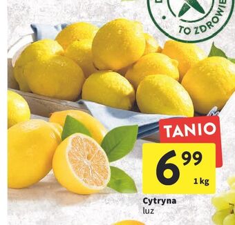 Intermarche Cytryny oferta