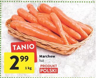 Intermarche Marchew oferta