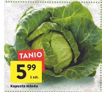 Intermarche Kapusta młoda oferta