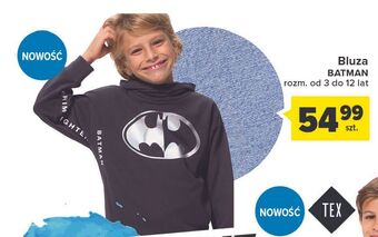 Carrefour Bluza batman 3-12 lat oferta