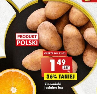 Biedronka Ziemniaki jadalne luz 1kg oferta