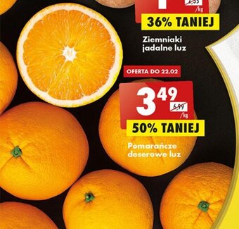 Biedronka Pomarańcze deserowe luz 1kg oferta