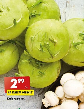 Biedronka Kalarepa szt. oferta