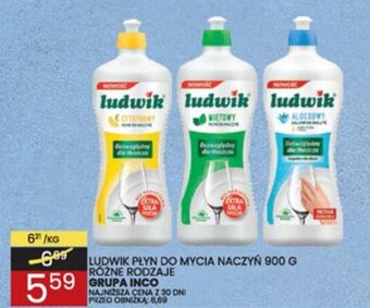 Wafelek Grupa Inco Ludwik płyn do mycia naczyń 900g oferta