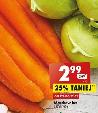 Biedronka Marchew oferta