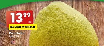 Biedronka Pomelo oferta