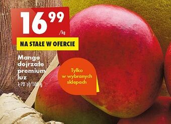 Biedronka Mango oferta