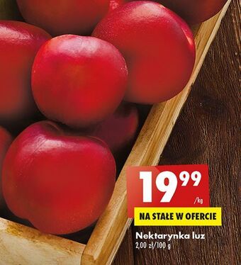 Biedronka Nektarynki oferta