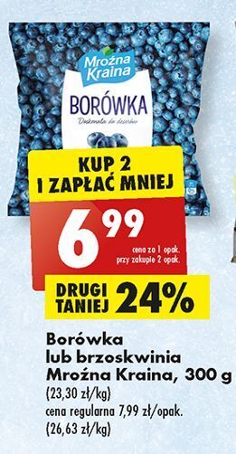 Biedronka Brzoskwinia mroźna kraina oferta