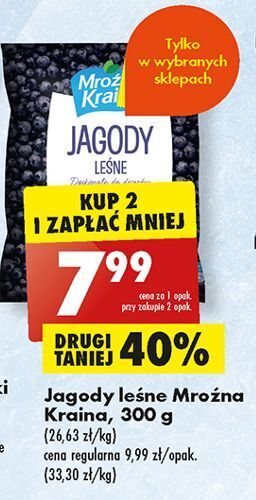 Biedronka Jagody leśne mroźna kraina oferta