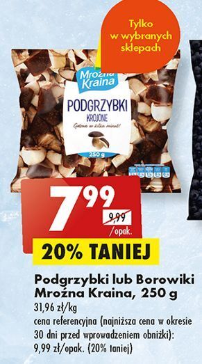 Borowiki krojone mroźna kraina