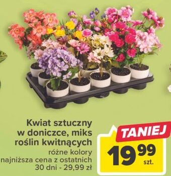 Carrefour Kwiat sztuczny w doniczce oferta