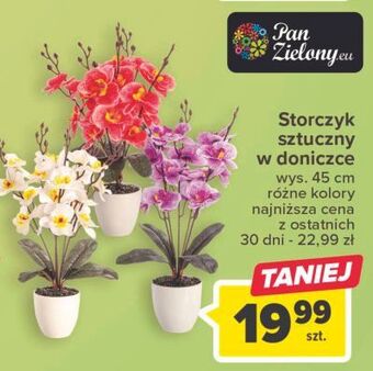Carrefour Storczyk oferta