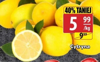 API MARKET Cytryna oferta