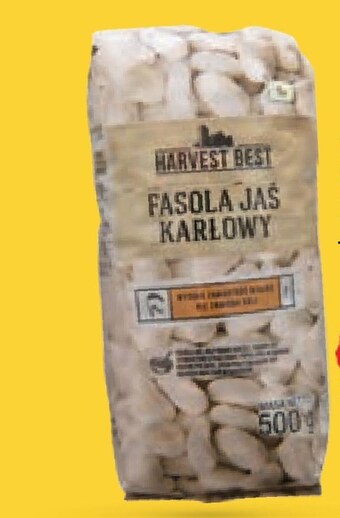 Netto Fasola harvest best oferta