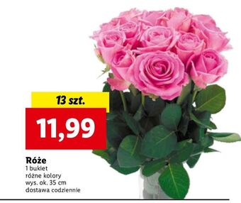Lidl Bukiet róż 35 cm oferta